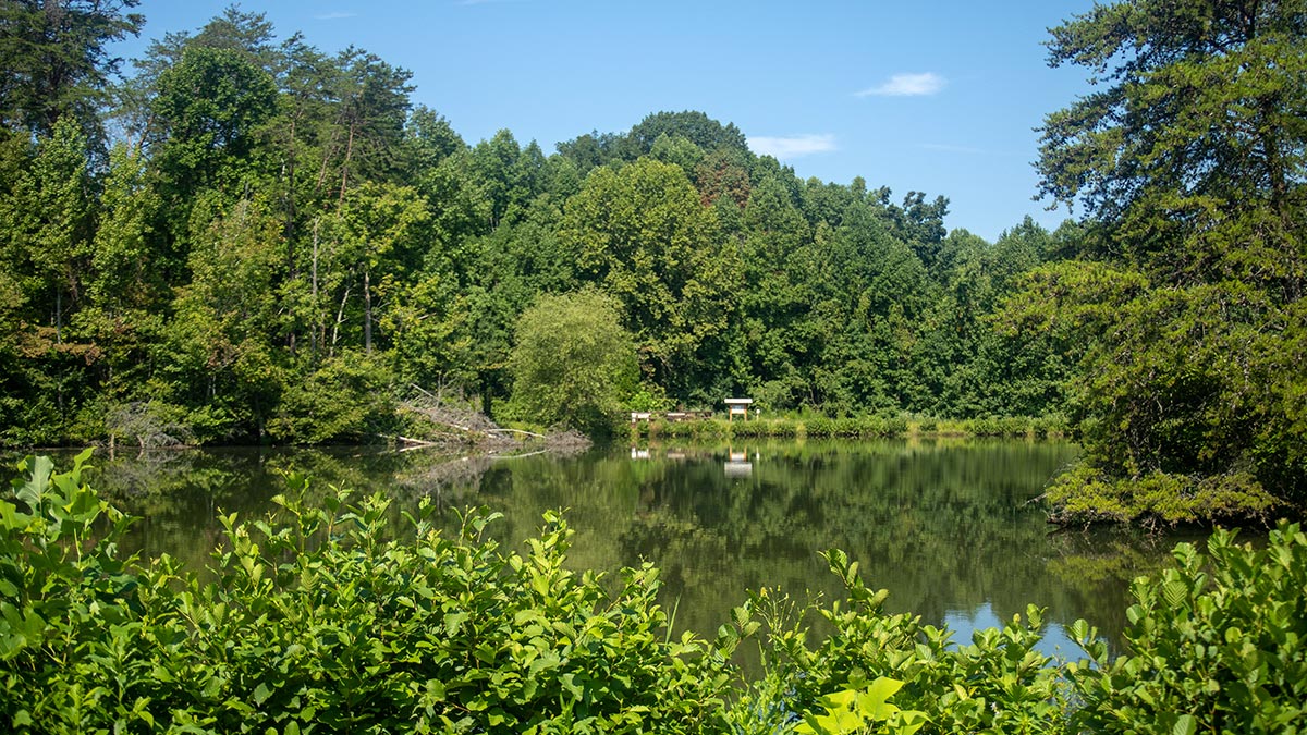 Salemtowne - Nature Preserve